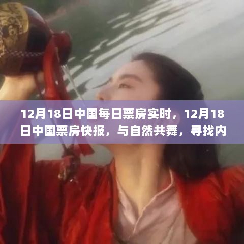 与自然共舞，探寻内心桃花源，12月18日中国票房实时快报