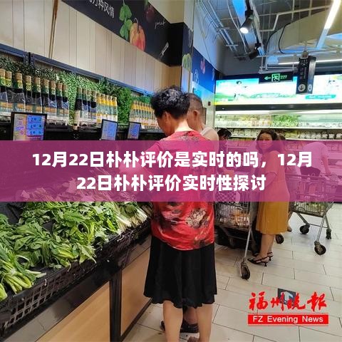 12月22日朴朴评价实时性探讨