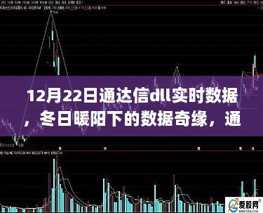 冬日暖阳下的通达信dll实时数据奇缘与友情温馨故事