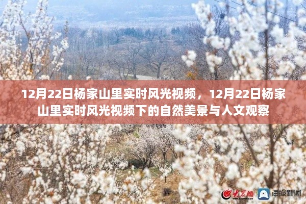 12月22日杨家山里风光实录，自然美景与人文观察