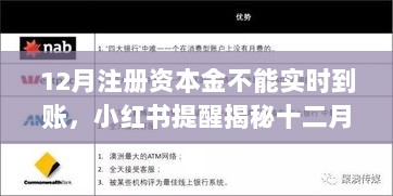 揭秘十二月注册资本金不能实时到账背后的真相，小红书助你解决财务困扰！