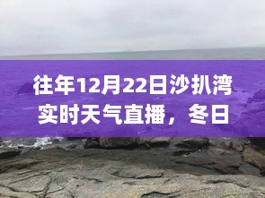 冬日沙扒湾的温暖时光，友情共舞与实时天气直播日