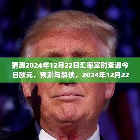 解读与预测，2024年12月22日汇率走势及欧元地位变迁分析