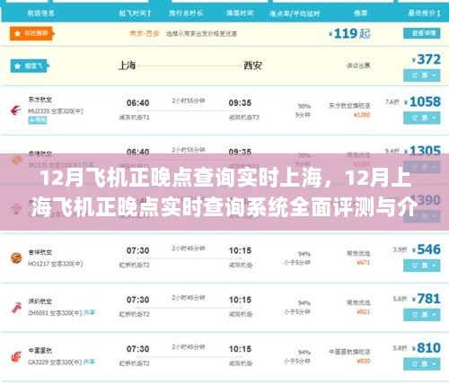 上海飞机正晚点实时查询系统评测与介绍，全面追踪飞机动态，助你出行无忧