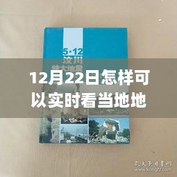 智能地震预警系统，实时守护生命防线，掌握地震动态的前沿解读