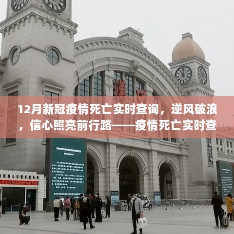 逆风破浪，信心照亮前行路，疫情死亡实时查询背后的励志故事与抗疫精神