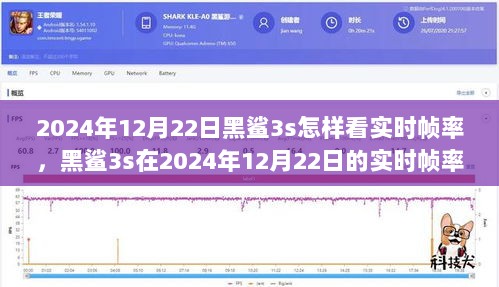 2024年黑鲨3s实时帧率深度解析与观点阐述