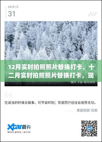 十二月实时拍照照片替换打卡现象解析与影响回顾