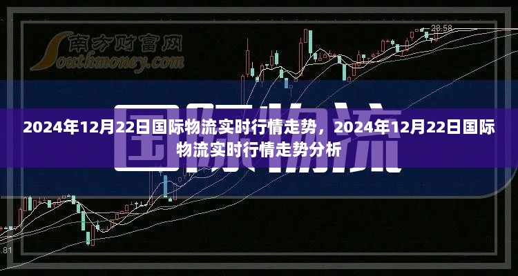 2024年12月22日国际物流实时行情走势深度分析