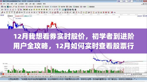 12月实时查看股票行情攻略，从初学者到进阶用户全指南