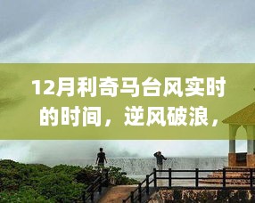 利奇马台风下的励志学习之旅，实时追踪逆风破浪的冒险之旅（12月）