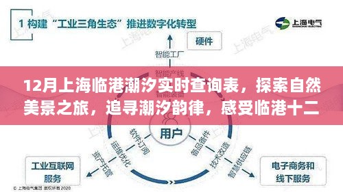 12月上海临港潮汐探索之旅，自然美景与潮汐韵律的宁静力量实时查询表