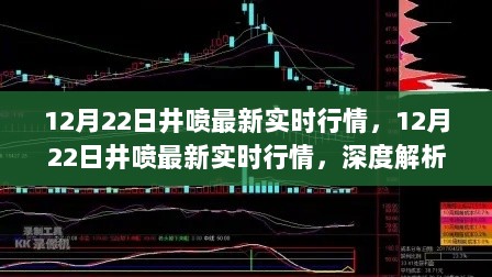 深度解析，12月22日井喷行情实时走势与投资机会洞察