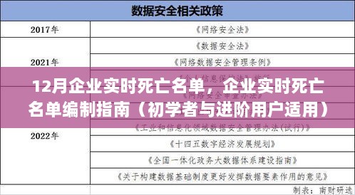 12月企业实时死亡名单详解，编制指南与初学者进阶教程