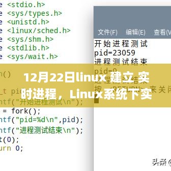 Linux系统下实时进程的建立与管理，深度解析与实践案例