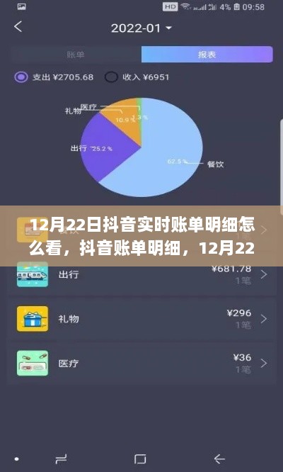 抖音账单明细解读，深度洞察与解读，12月22日实时账单洞察与深度解读