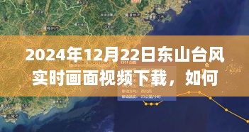 详细步骤指南，如何下载东山台风实时画面视频（2024年12月22日）