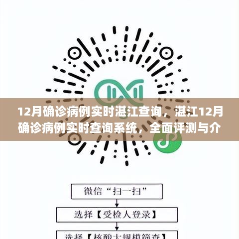 湛江12月确诊病例实时查询系统全面评测与介绍