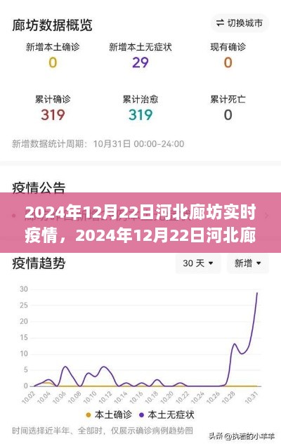 2024年12月22日河北廊坊实时疫情深度解析与状况报告