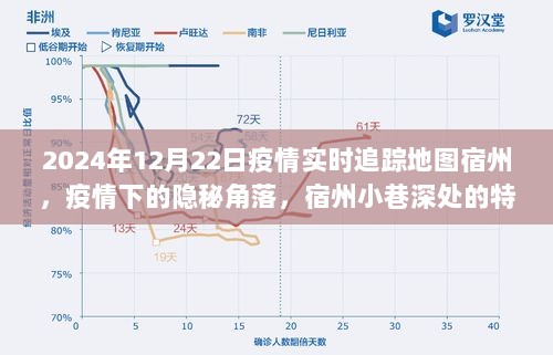 疫情下的隐秘角落，宿州美食秘境与实时追踪地图探索（附日期）