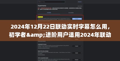 2024年联动实时字幕使用攻略，初学者与进阶用户全指南