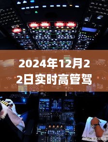 实时高管驾驶舱探秘之旅，宝藏小店深度体验之旅（2024年12月22日）