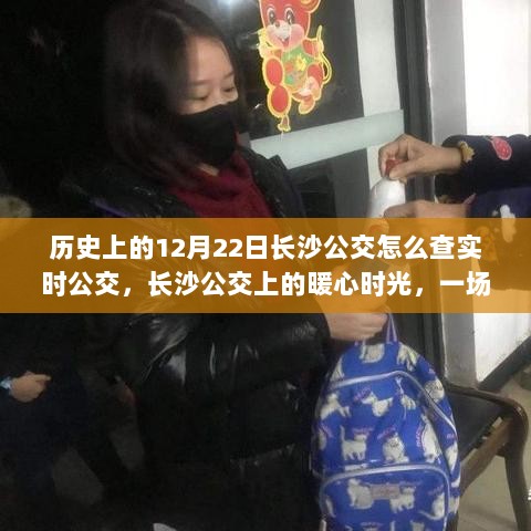 长沙公交暖心时光，回顾历史时刻与温馨回忆的实时公交查询之旅