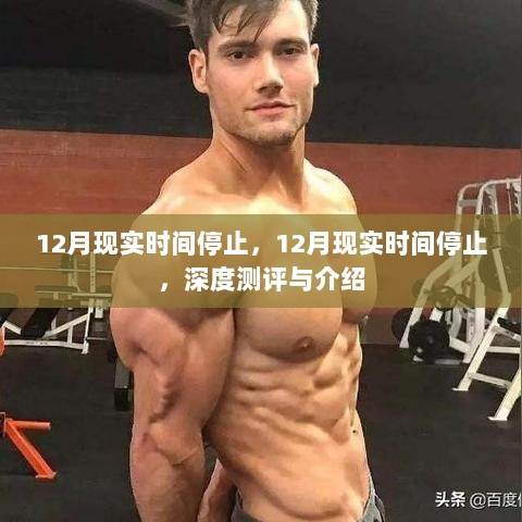 深度测评与介绍，揭秘12月现实时间停止的神秘面纱