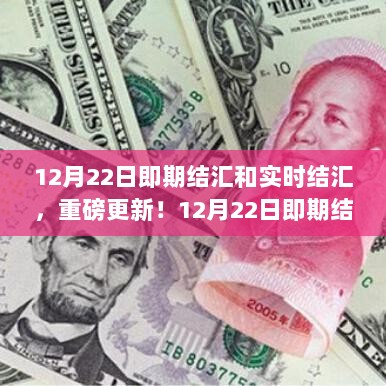 重磅更新！12月22日即期结汇与实时结汇攻略揭秘