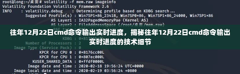 揭秘，往年12月22日CMD命令实时进度输出技术细节探究