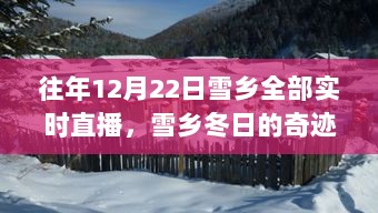 揭秘雪乡冬日的奇迹，往年12月22日雪乡实时直播背后的故事揭秘