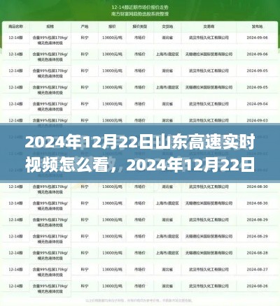 山东高速实时视频观看指南，如何观看2024年12月22日的实时视频及观点分析