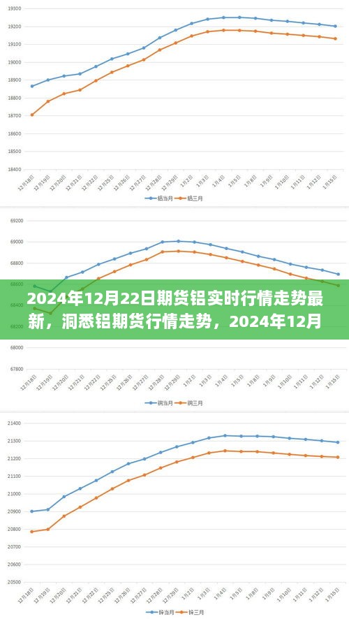 2024年12月22日期货铝行情深度解析，实时走势、观点阐述与洞悉