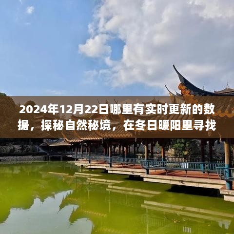 探秘自然秘境，2024年12月22日实时旅行数据大揭秘与心灵之旅