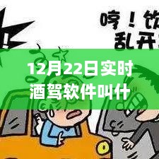 关于酒驾监管软件的命名及其重要性，12月22日实时酒驾软件名称揭秘