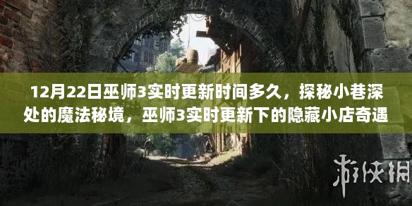 巫师3实时更新探秘，小巷深处的魔法秘境与隐藏小店的奇遇