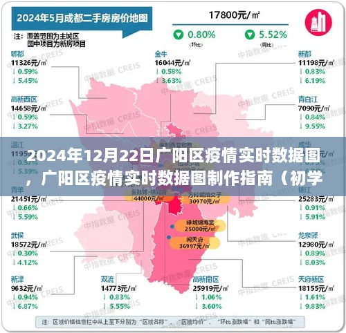 广阳区疫情实时数据图详解，制作指南与最新数据报告（初学者与进阶用户适用）