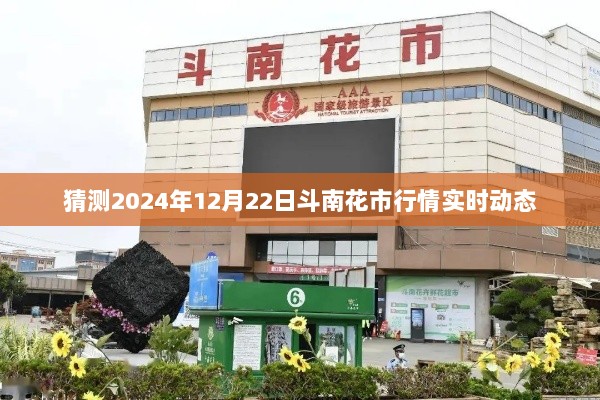 斗南花市行情预测，2024年12月22日实时动态分析