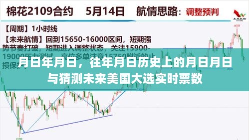 历史与现实交织，大选票数实时预测与月日月日的深度解读