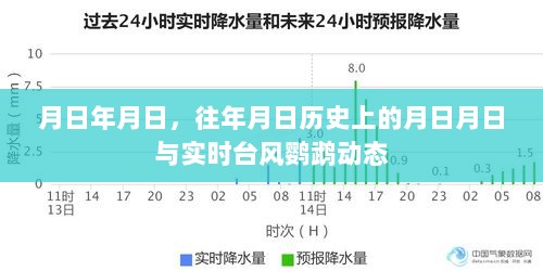 历史同期台风鹦鹉动态与往日事件回顾