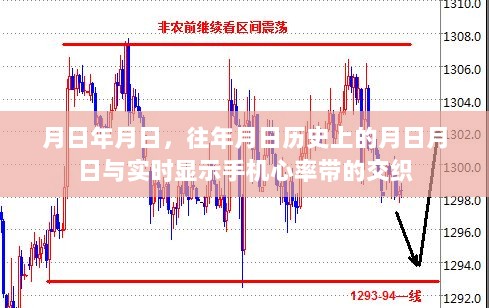 心跳律动与时空交织，历史与实时手机心率带探秘