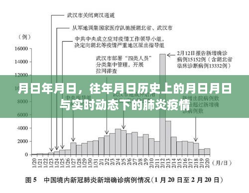 历史与现实交汇，肺炎疫情的动态观察与往日回忆