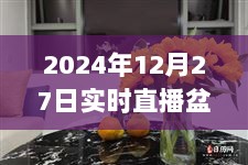 2024年12月27日盆景实时直播赏析