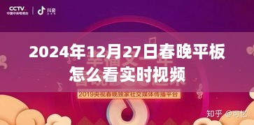 2024年春晚平板观看实时视频指南