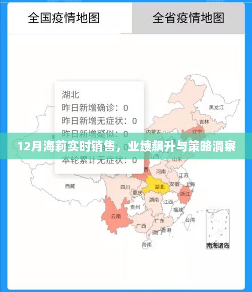 海莉12月销售飙升背后的策略洞察