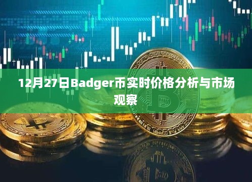 Badger币最新实时价格分析与市场观察（深度解析）