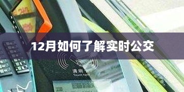 12月实时公交查询指南