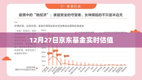 京东基金实时估值（最新数据）