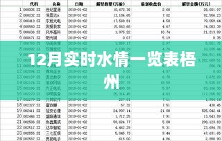 梧州12月实时水情概览