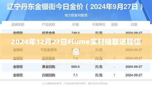 Flume实时抽取进程信息介绍及操作指南（日期，XXXX年XX月XX日）